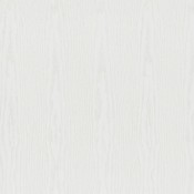 Borovice Bílá (kresba dřeva)