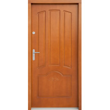 Venkovní vchodové dveře P38