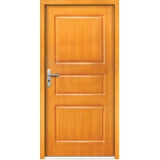 Venkovní vchodové dveře P1