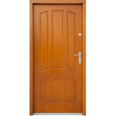 Venkovní vchodové dveře P38